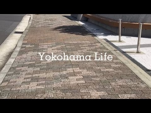 Yokohama Life 格安ネイルサロンと横浜のハリネズミカフェ はりねずみランド